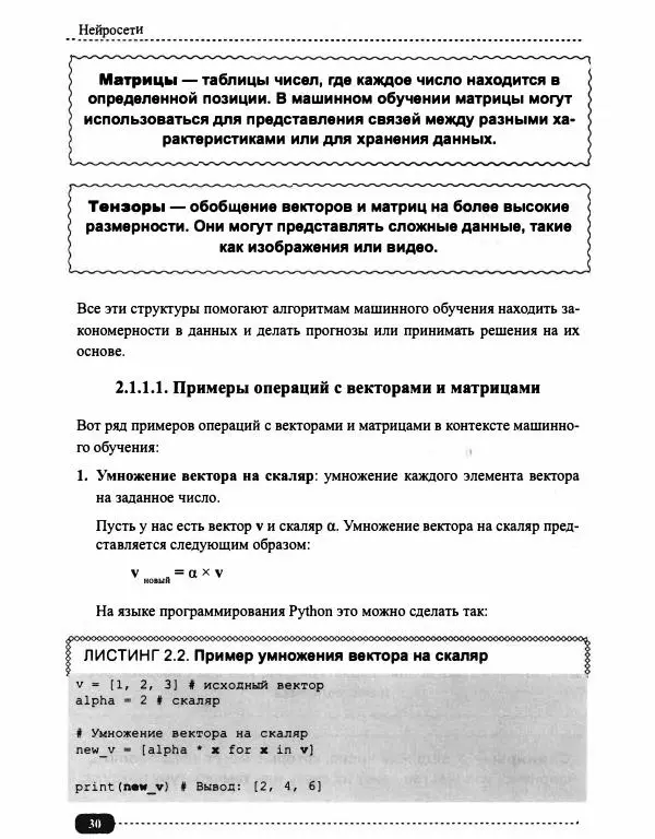 И. Куликова - Нейросети на Python - Страница № 31