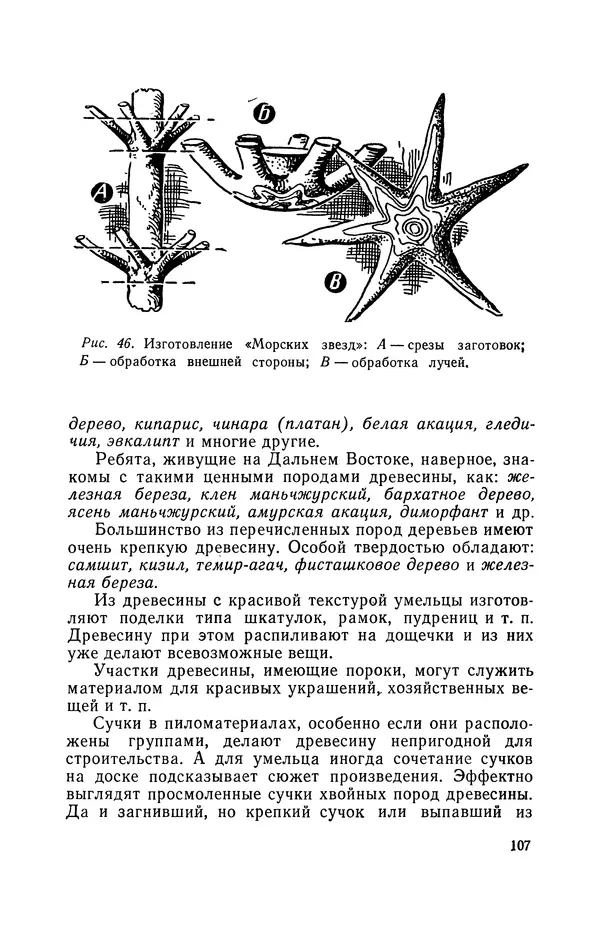 Людвиг Ерлыкин - Пионер-умелец - Страница № 108