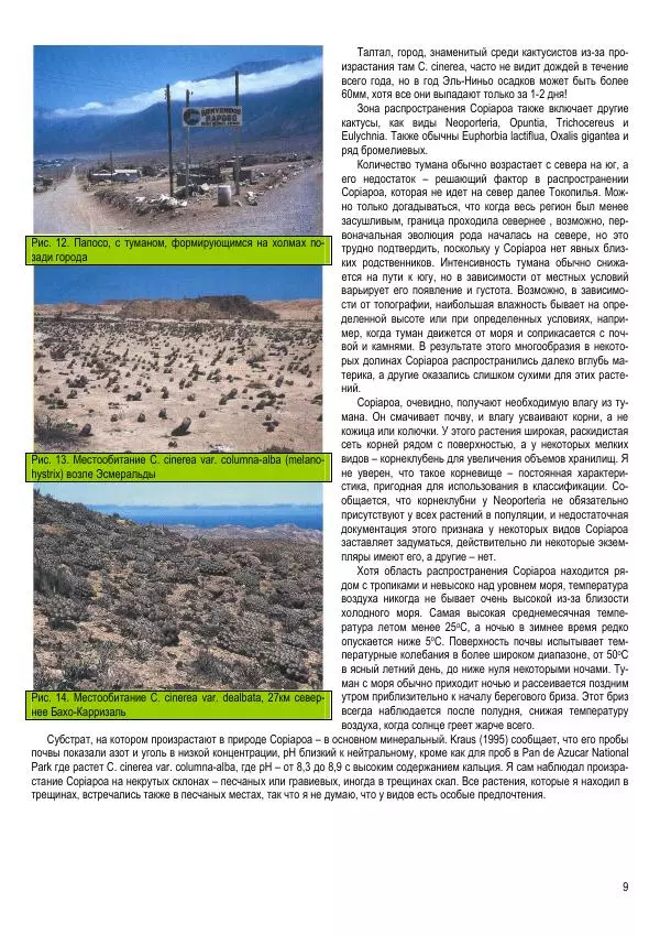 Грэм Чарльз - Копьяпоа — Copiapoa - Страница № 9