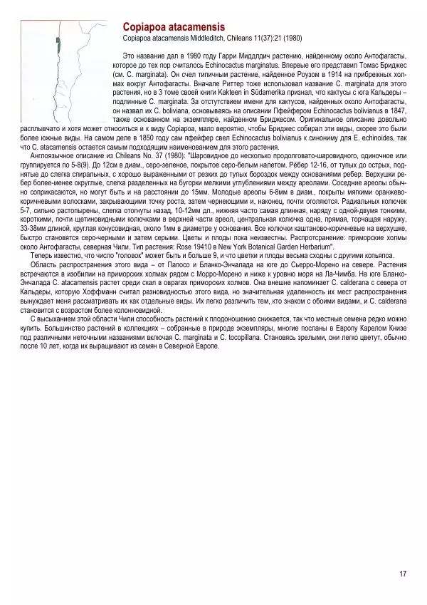 Грэм Чарльз - Копьяпоа — Copiapoa - Страница № 17