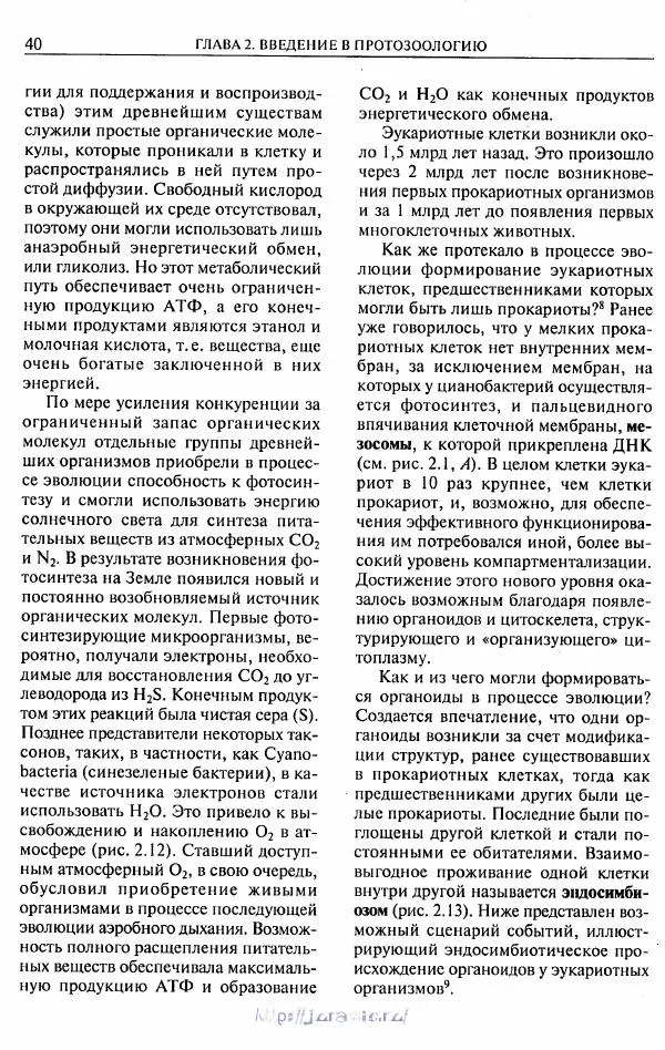 Эдвард Руперт - Зоология беспозвоночных. В 4-х томах. Том 1. Проститы и низшие многоклеточные - Страница № 41