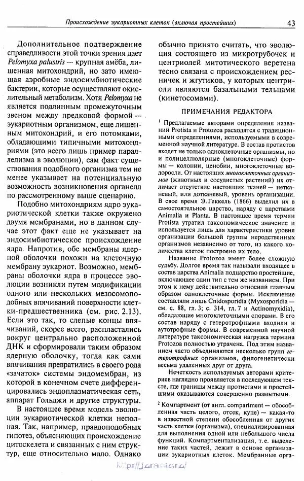 Эдвард Руперт - Зоология беспозвоночных. В 4-х томах. Том 1. Проститы и низшие многоклеточные - Страница № 44