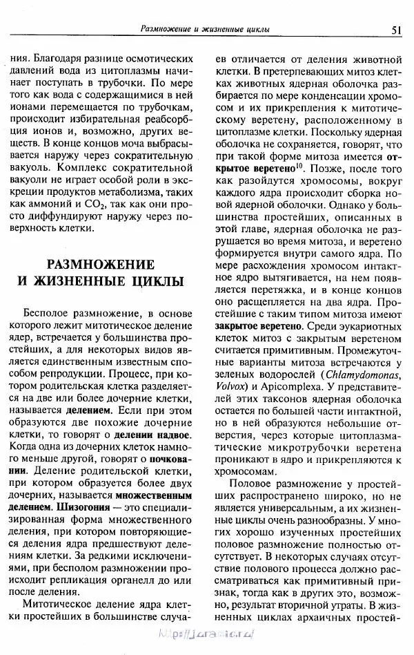 Эдвард Руперт - Зоология беспозвоночных. В 4-х томах. Том 1. Проститы и низшие многоклеточные - Страница № 52