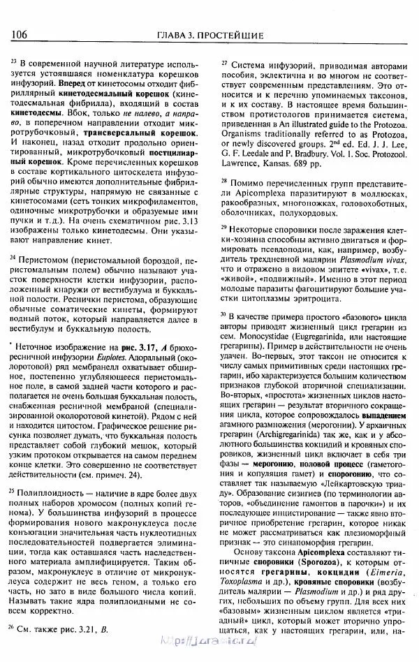 Эдвард Руперт - Зоология беспозвоночных. В 4-х томах. Том 1. Проститы и низшие многоклеточные - Страница № 107