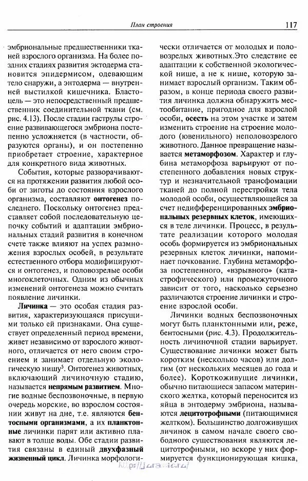 Эдвард Руперт - Зоология беспозвоночных. В 4-х томах. Том 1. Проститы и низшие многоклеточные - Страница № 118