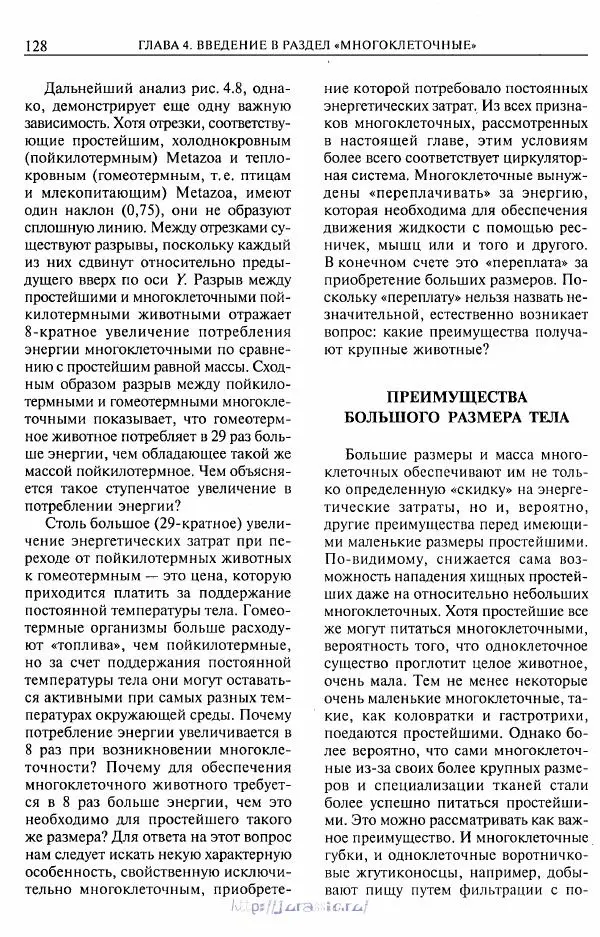 Эдвард Руперт - Зоология беспозвоночных. В 4-х томах. Том 1. Проститы и низшие многоклеточные - Страница № 129