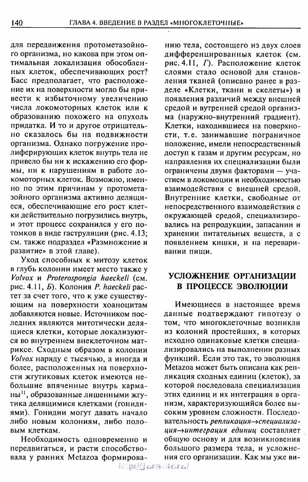 Эдвард Руперт - Зоология беспозвоночных. В 4-х томах. Том 1. Проститы и низшие многоклеточные - Страница № 141