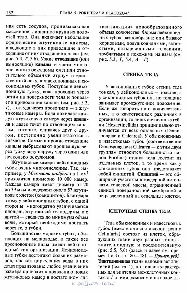 Эдвард Руперт - Зоология беспозвоночных. В 4-х томах. Том 1.<!--p--><!--p--><!--p--><!--p--><!--p--><!--p--><!--p--><!--p--><!--p--><!--p--><!--p--><!--p--><!--p--><!--p--><!--p--><!--p--><!--p--><!--p--><!--p--><!--p--><!--p--><!--p--><!--p--><!--p--><!--p--><!--p--><!--p--><!--p--><!--p--><!--p--><!--p--><!--p--><!--p--><!--p--><!--p--><!--p--><!--p--><!--p--><!--p--><!--p--><!--p--><!--p--><!--p--><!--p--><!--p--><!--p--><!--p--><!--p--><!--p--><!--p--><!--p--><!--p--><!--p--><!--p--><!--p--><!--p--><!--p--><!--p--><!--p--><!--p--><!--p--><!--p--><!--p--><!--p--><!--p--><!--p--><!--p--><!--p--><!--p--><!--p--><!--p--><!--p--><!--p--><!--p--><!--p--><!--p--><!--p--><!--p--><!--p--><!--p--><!--p--><!--p--><!--p--><!--p--><!--p--><!--p--><!--p--><!--p--><!--p--><!--p--><!--p--><!--p--><!--p--><!--p--><!--p--><!--p--><!--p--><!--p--><!--p--><!--p--><!--p--><!--p--><!--p--><!--p--><!--p--><!--p--><!--p--><!--p--><!--p--><!--p--><!--p--><!--p--><!--p--><!--p--><!--p--><!--p--><!--p--><!--p--><!--p--><!--p--><!--p--><!--p--><!--p--><!--p--><!--p--><!--p--><!--p--><!--p--><!--p--><!--p--><!--p--><!--p--><!--p--><!--p--><!--p--><!--p--><!--p--><!--p--><!--p--><!--p--><!--p--><!--p--><!--p--><!--p--><!--p--><!--p--><!--p--><!--p--><!--p--><!--p--><!--p--><!--p--><!--p-->Проститы и низшие многоклеточные - Страница № 153
