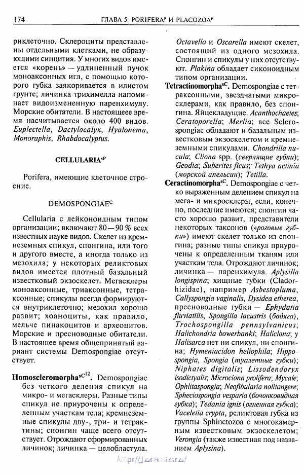Эдвард Руперт - Зоология беспозвоночных. В 4-х томах. Том 1. Проститы и низшие многоклеточные - Страница № 175