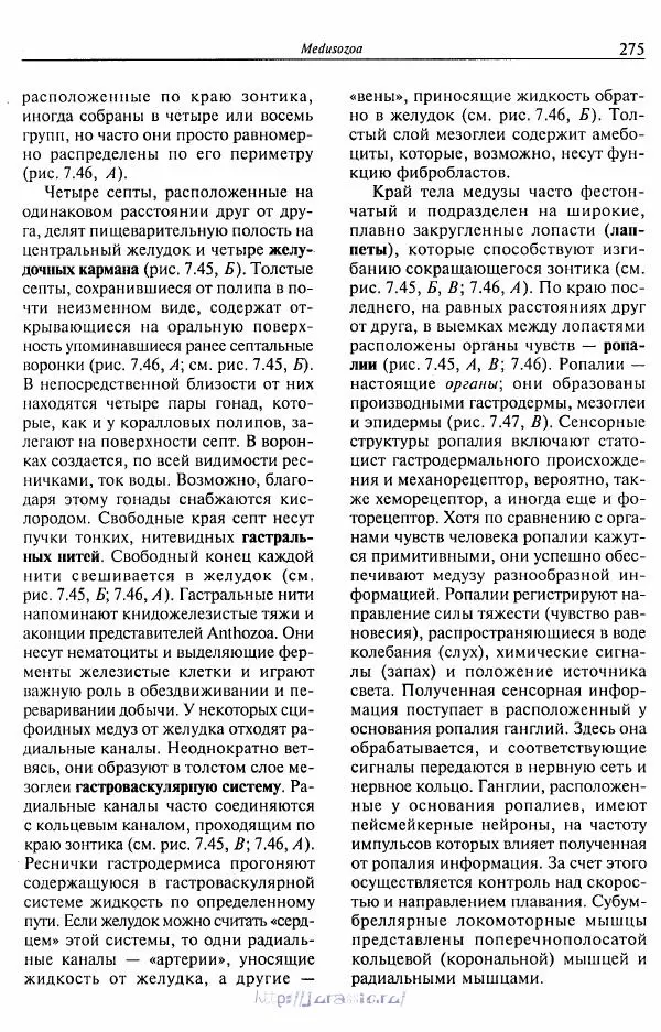 Эдвард Руперт - Зоология беспозвоночных. В 4-х томах. Том 1. Проститы и низшие многоклеточные - Страница № 276