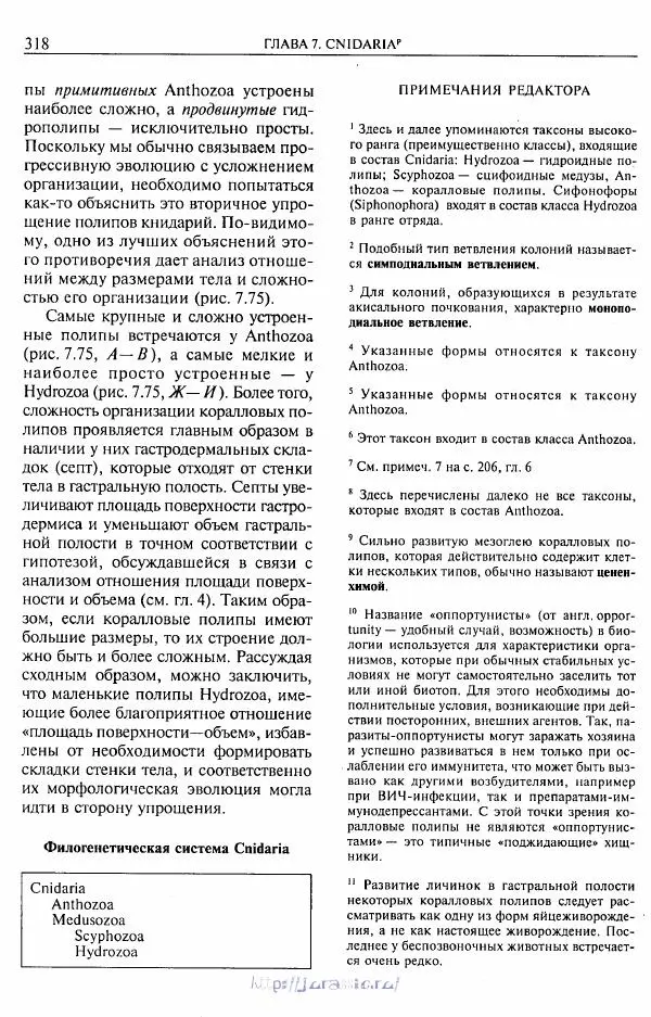 Эдвард Руперт - Зоология беспозвоночных. В 4-х томах. Том 1. Проститы и низшие многоклеточные - Страница № 319