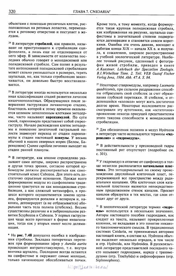 Эдвард Руперт - Зоология беспозвоночных. В 4-х томах. Том 1. Проститы и низшие многоклеточные - Страница № 321
