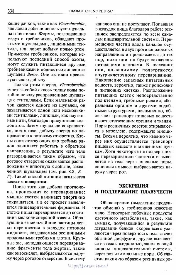 Эдвард Руперт - Зоология беспозвоночных. В 4-х томах. Том 1. Проститы и низшие многоклеточные - Страница № 339