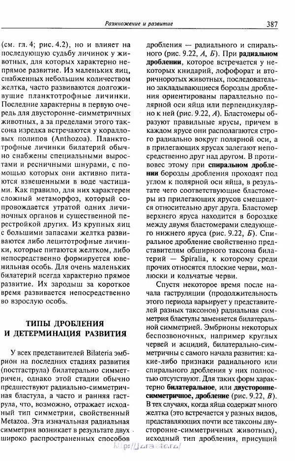 Эдвард Руперт - Зоология беспозвоночных. В 4-х томах. Том 1. Проститы и низшие многоклеточные - Страница № 388