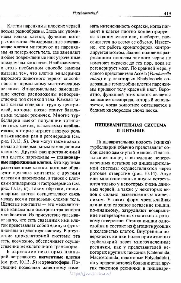 Эдвард Руперт - Зоология беспозвоночных. В 4-х томах. Том 1. Проститы и низшие многоклеточные - Страница № 420