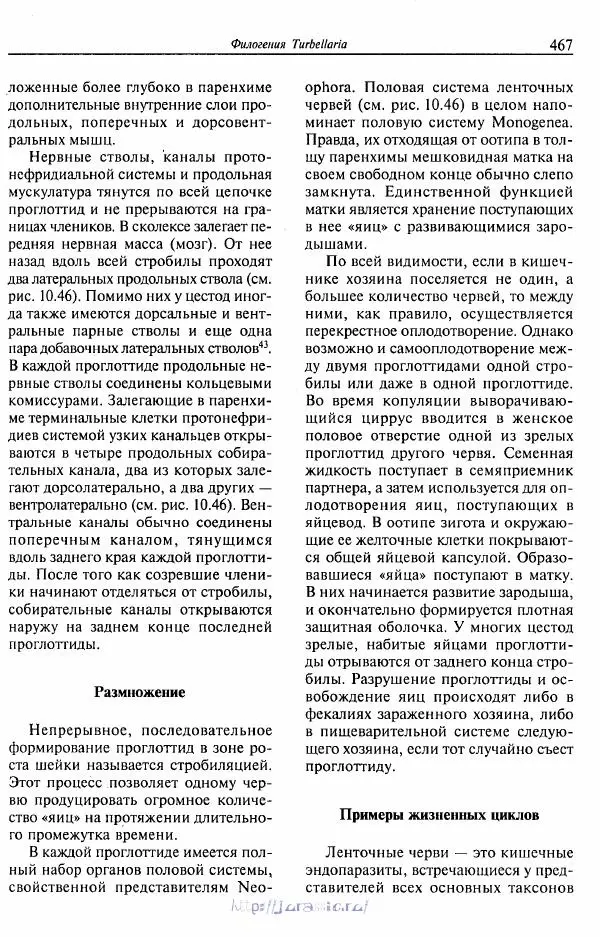 Эдвард Руперт - Зоология беспозвоночных. В 4-х томах. Том 1. Проститы и низшие многоклеточные - Страница № 468