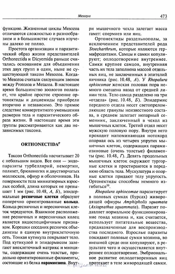 Эдвард Руперт - Зоология беспозвоночных. В 4-х томах. Том 1. Проститы и низшие многоклеточные - Страница № 474