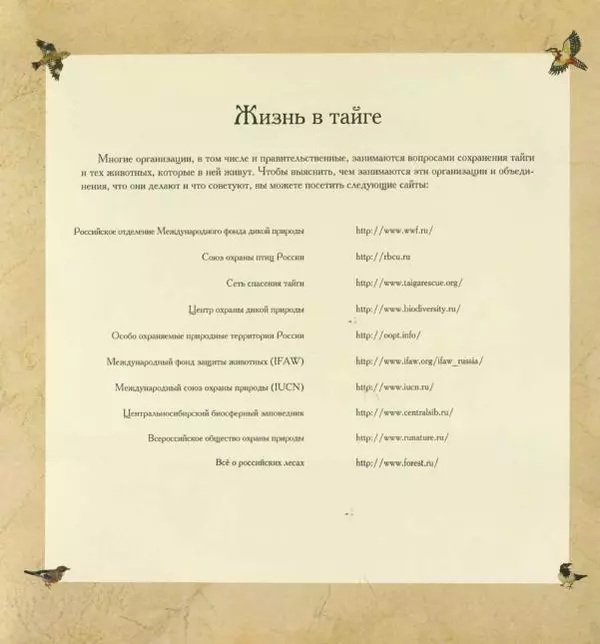 Бренда Гиберсон - Жизнь в тайге - Страница № 8