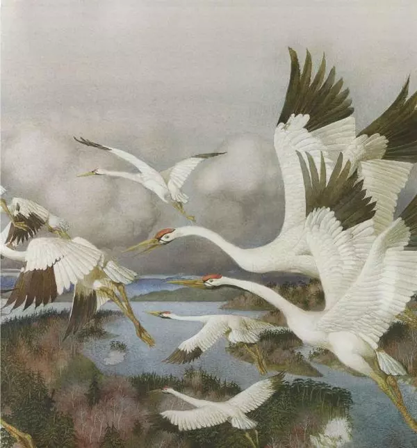 Бренда Гиберсон - Жизнь в тайге - Страница № 12