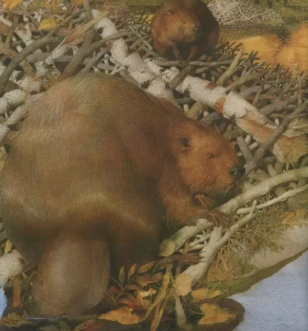 Бренда Гиберсон - Жизнь в тайге - Страница № 13