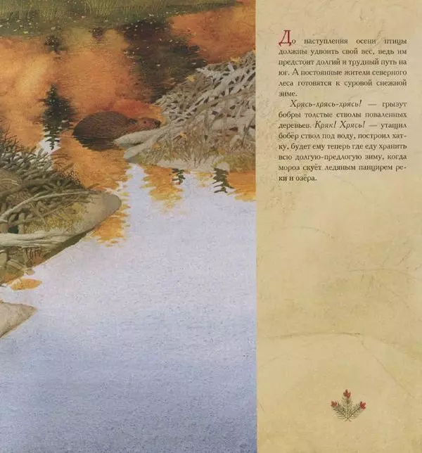 Бренда Гиберсон - Жизнь в тайге - Страница № 14