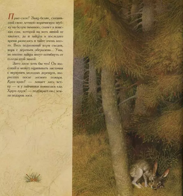 Бренда Гиберсон - Жизнь в тайге - Страница № 15