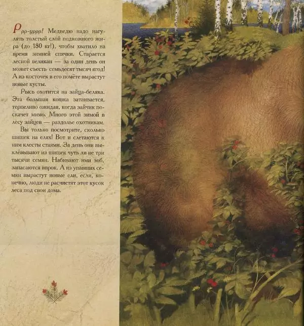 Бренда Гиберсон - Жизнь в тайге - Страница № 17