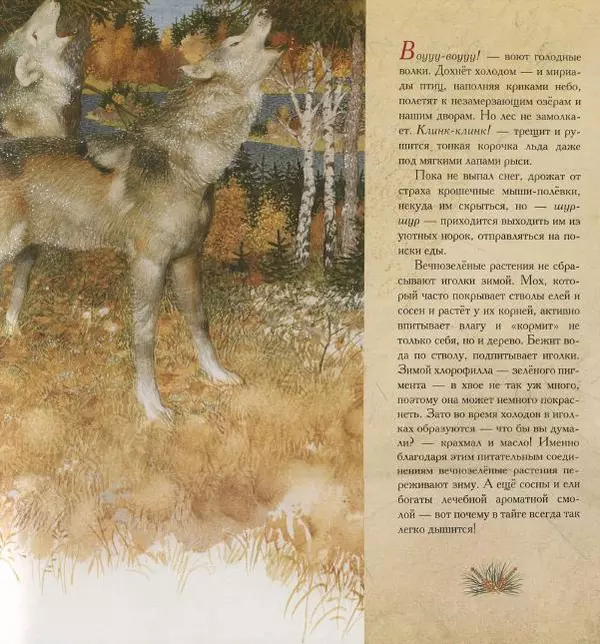 Бренда Гиберсон - Жизнь в тайге - Страница № 20