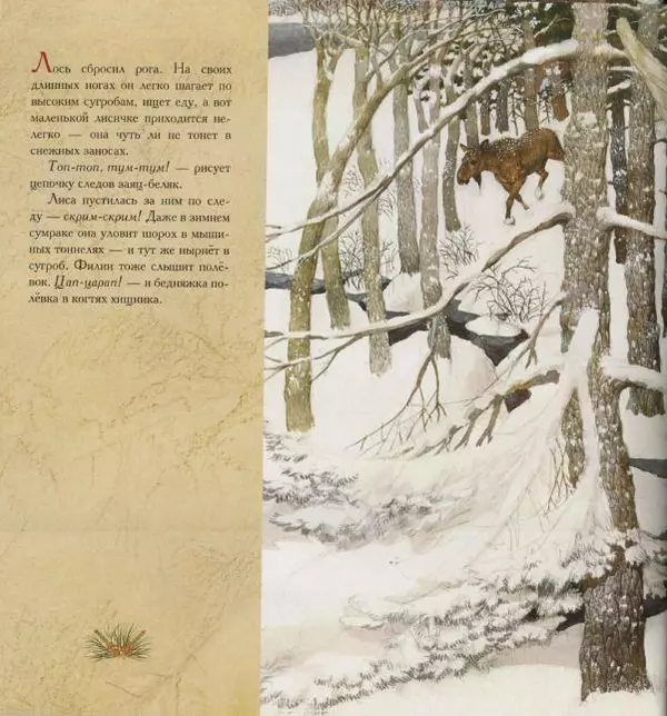 Бренда Гиберсон - Жизнь в тайге - Страница № 23