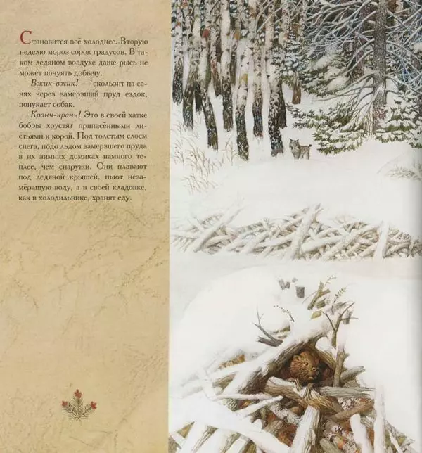 Бренда Гиберсон - Жизнь в тайге - Страница № 25