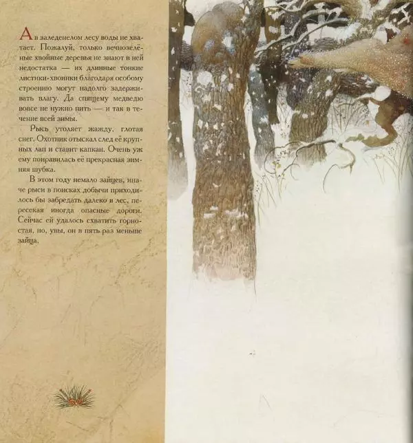 Бренда Гиберсон - Жизнь в тайге - Страница № 27
