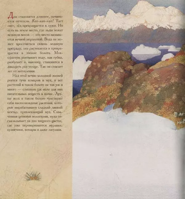 Бренда Гиберсон - Жизнь в тайге - Страница № 31