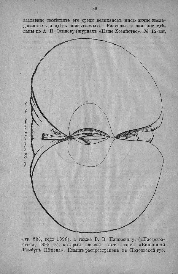А. Гребницкий - Плоды-великаны и ихъ выращивание - Страница № 54