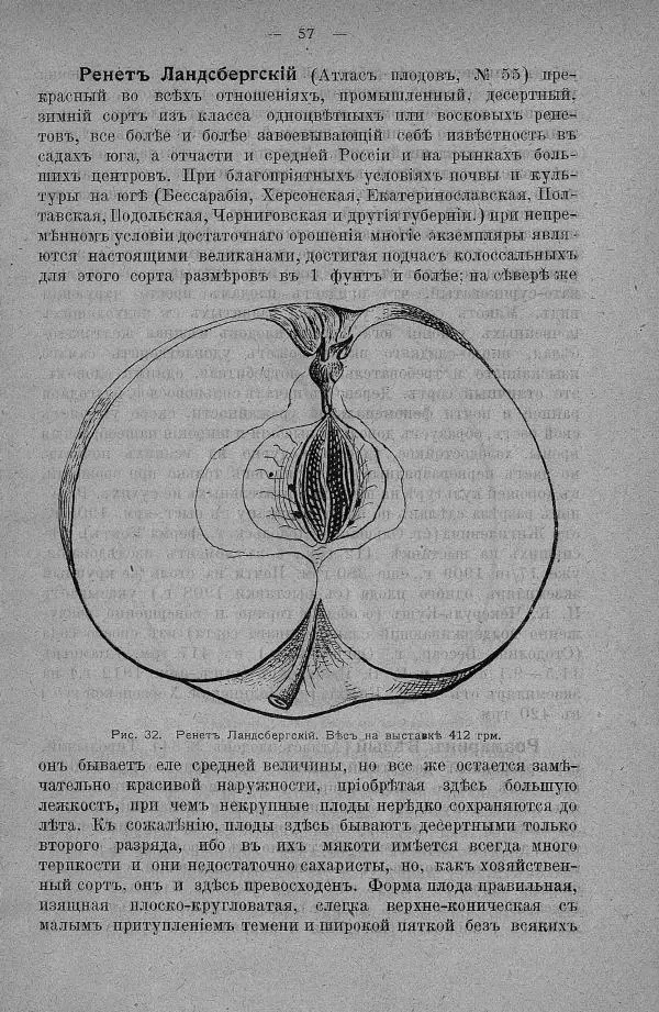 А. Гребницкий - Плоды-великаны и ихъ выращивание - Страница № 63