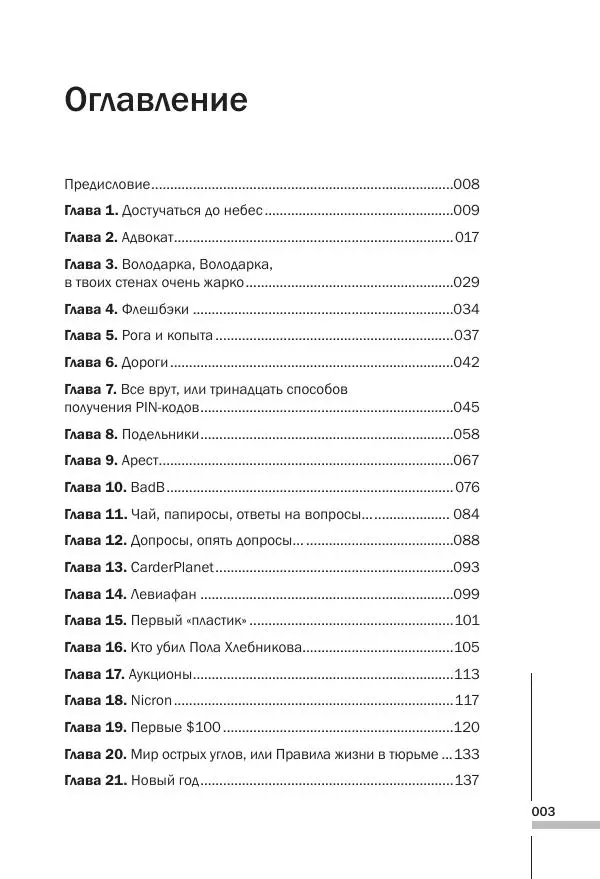 Сергей Павлович - Как я украл миллион. Исповедь раскаявшегося кардера - Страница № 3