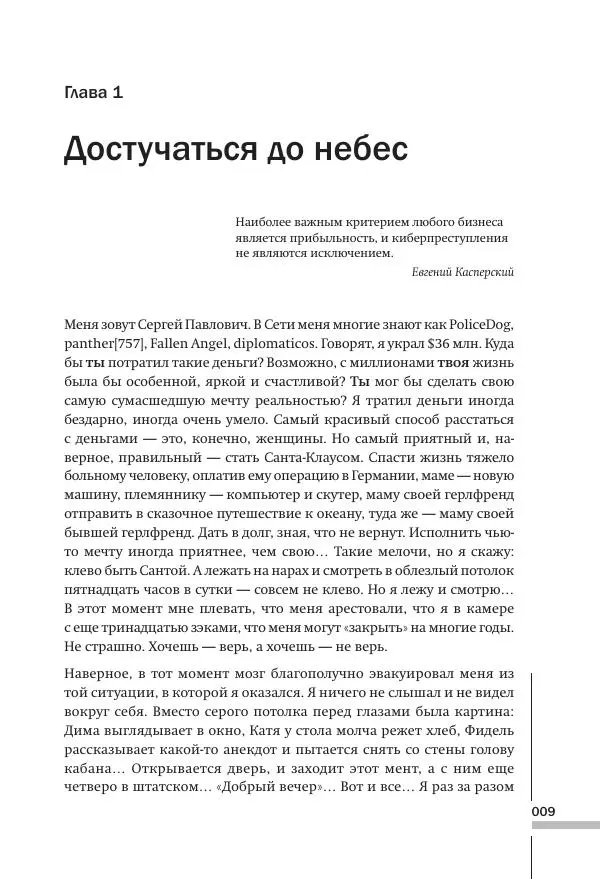 Сергей Павлович - Как я украл миллион. Исповедь раскаявшегося кардера - Страница № 9