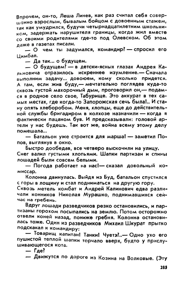 Петр Брайко - Внимание, Ковпак!  - Страница № 286