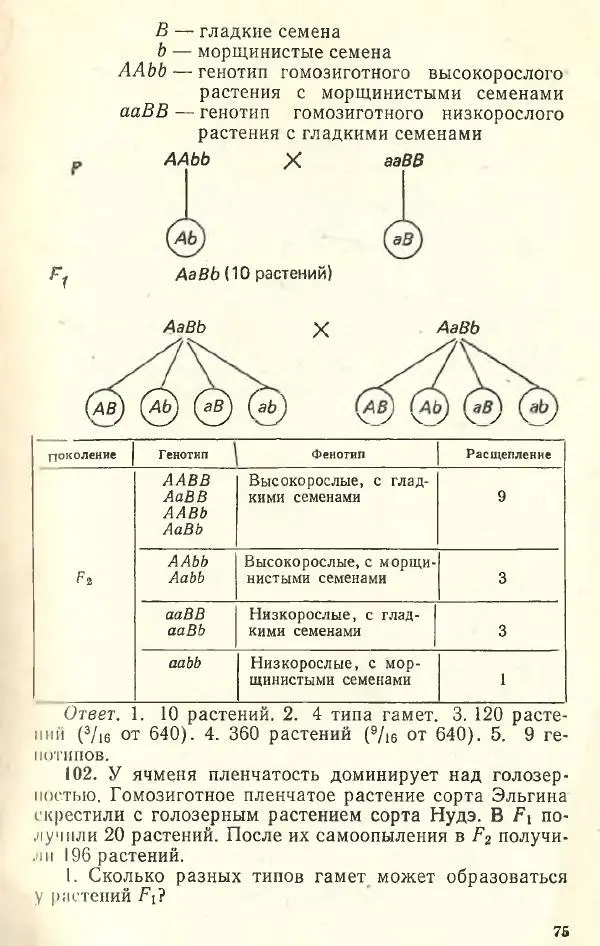 Борис Кочергин - Задачи по молекулярной биологии и генетике - Страница № 74