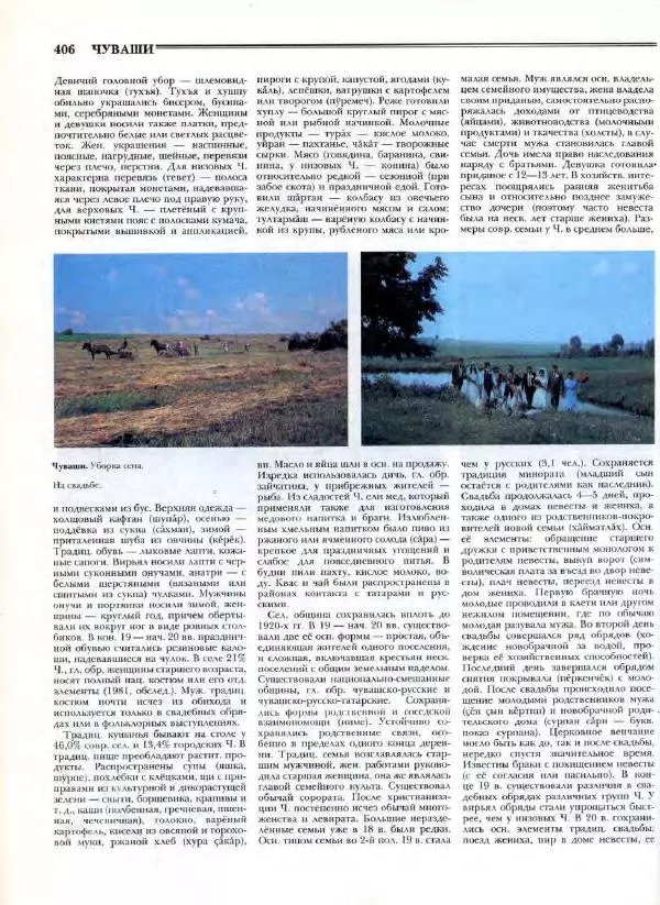 В. Тишков - Народы России  - Страница № 409