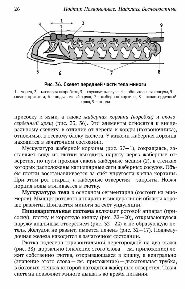 А. Квашенко - Зоология позвоночных для школьников - Страница № 26