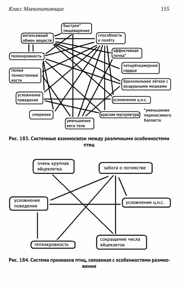 А. Квашенко - Зоология позвоночных для школьников - Страница № 155