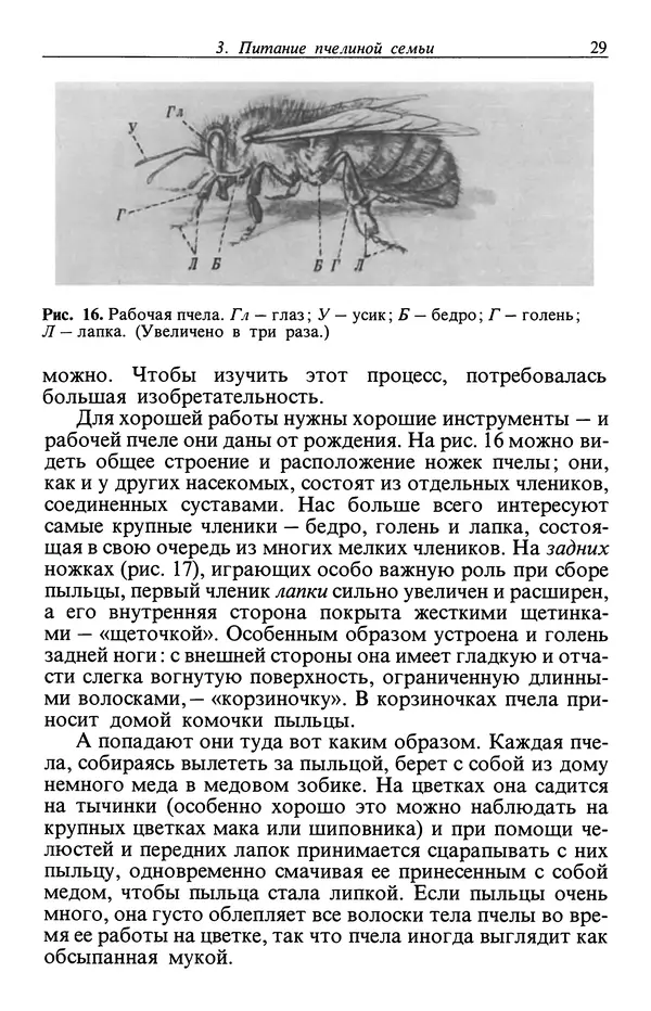 Карл Фриш - Из жизни пчел - Страница № 30