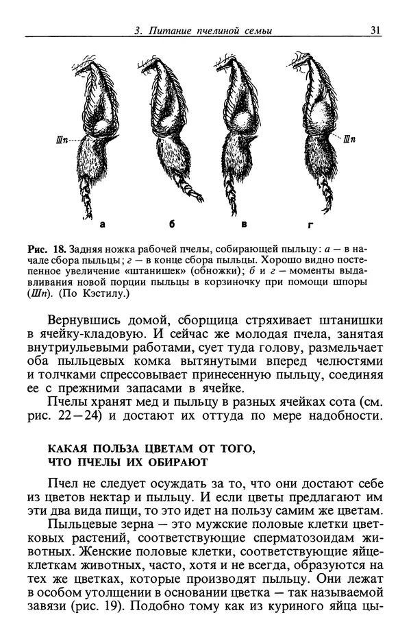 Карл Фриш - Из жизни пчел - Страница № 32