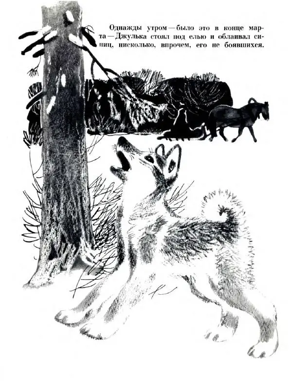 Сергей Иванов - Джулькино детство - Страница № 16