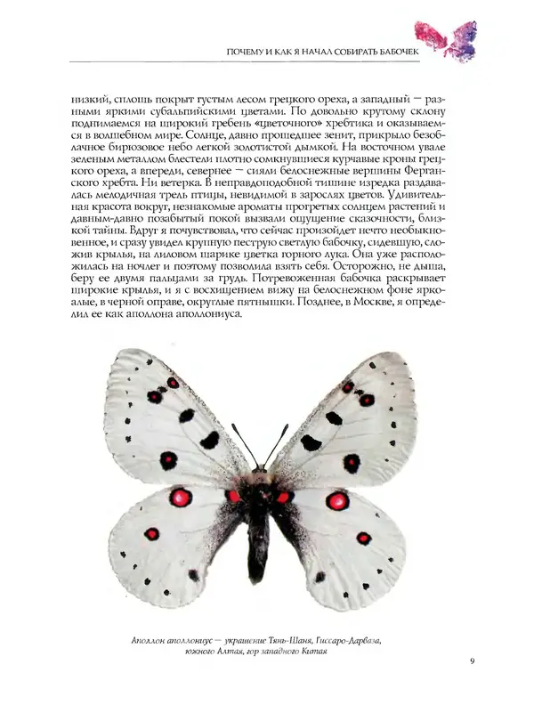 Леонид Каабак - Я иду искать... - Страница № 11