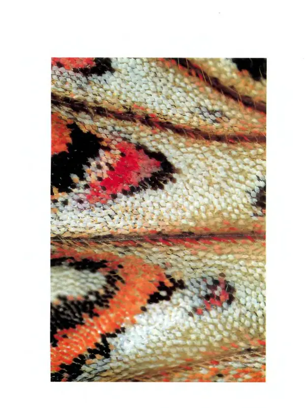 Леонид Каабак - Я иду искать... - Страница № 8