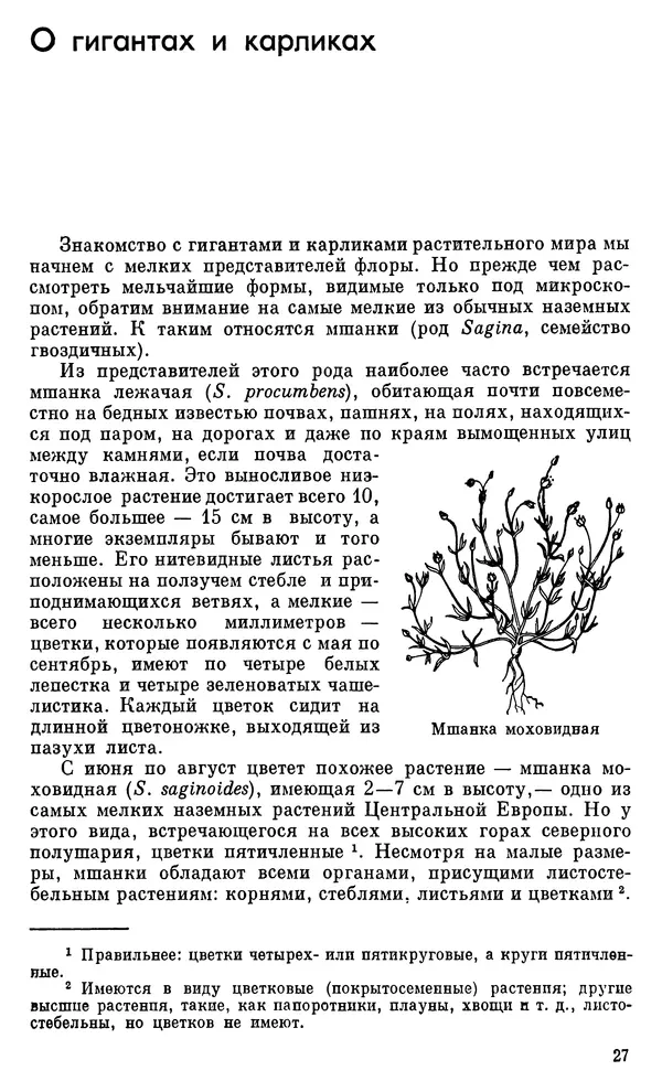 Иоганнес Петерман - Интересна ли ботаника? - Страница № 28