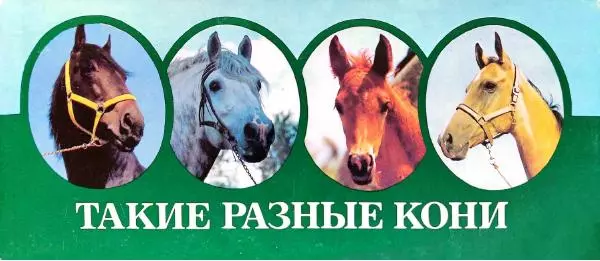 Дмитрий Гуревич - Такие разные кони - Страница № 1