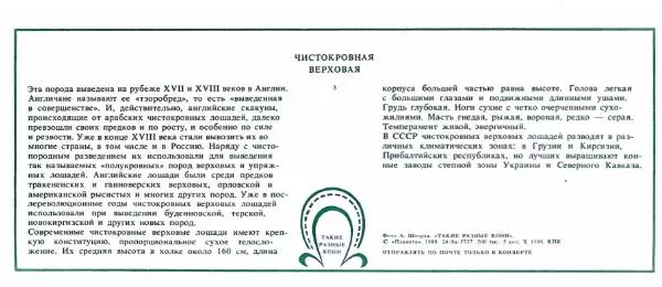 Дмитрий Гуревич - Такие разные кони - Страница № 9