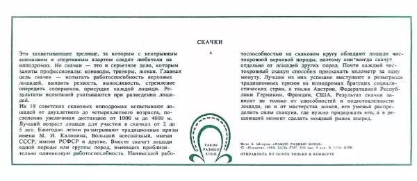 Дмитрий Гуревич - Такие разные кони - Страница № 11